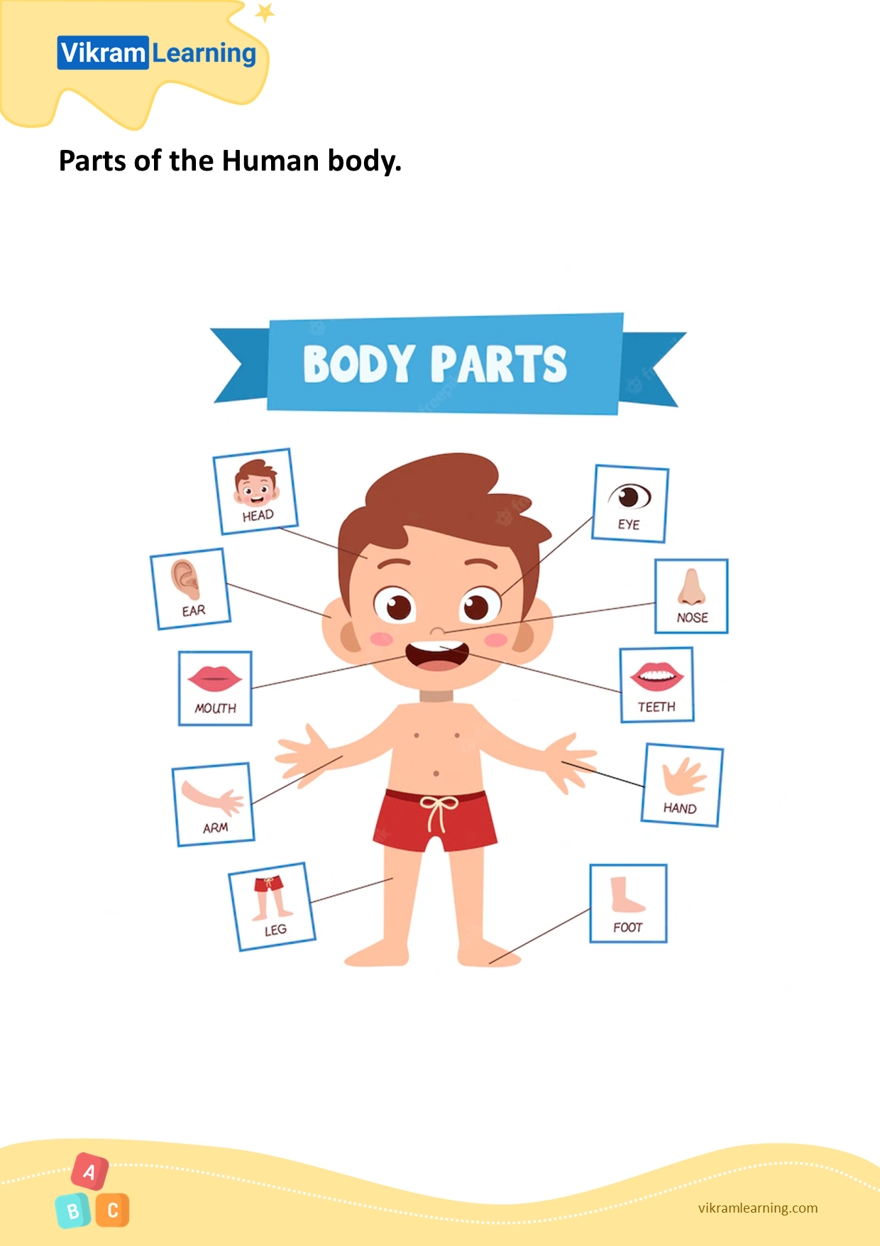 Download parts of the human body - pattern 2 worksheets