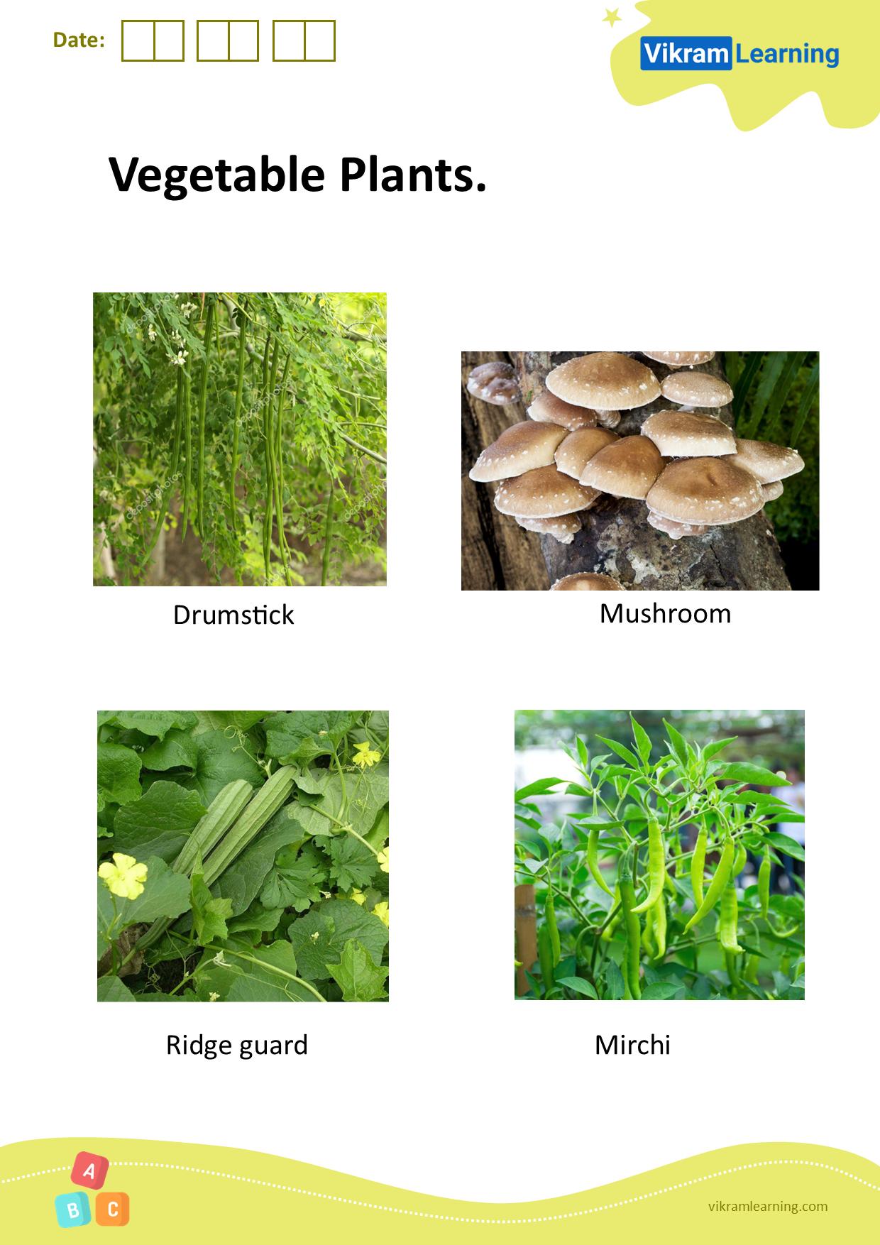 Download vegetable plants worksheets
