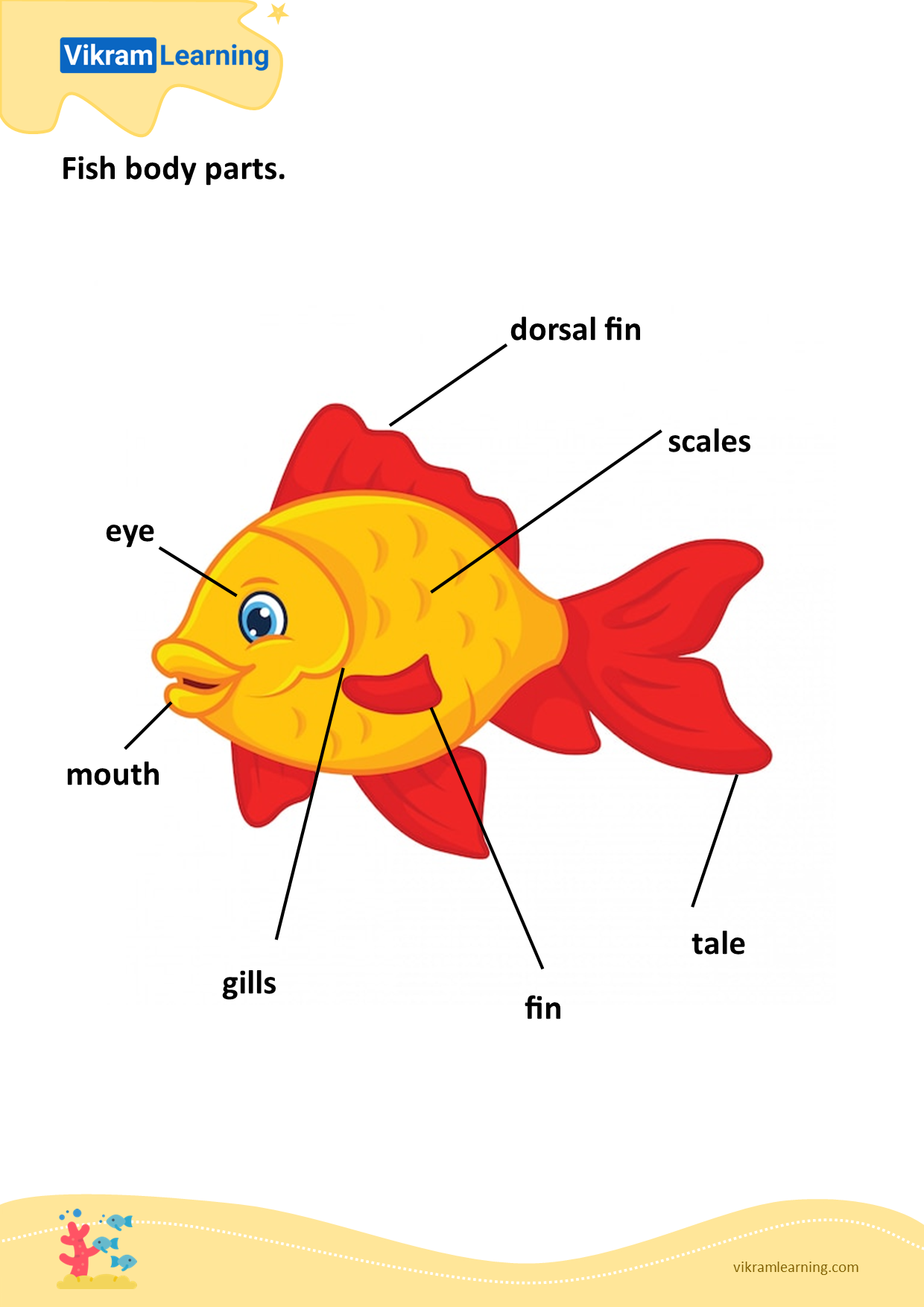Download fish body parts worksheets 