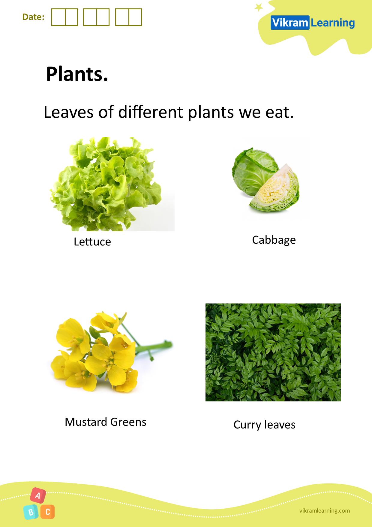 Download plants worksheets