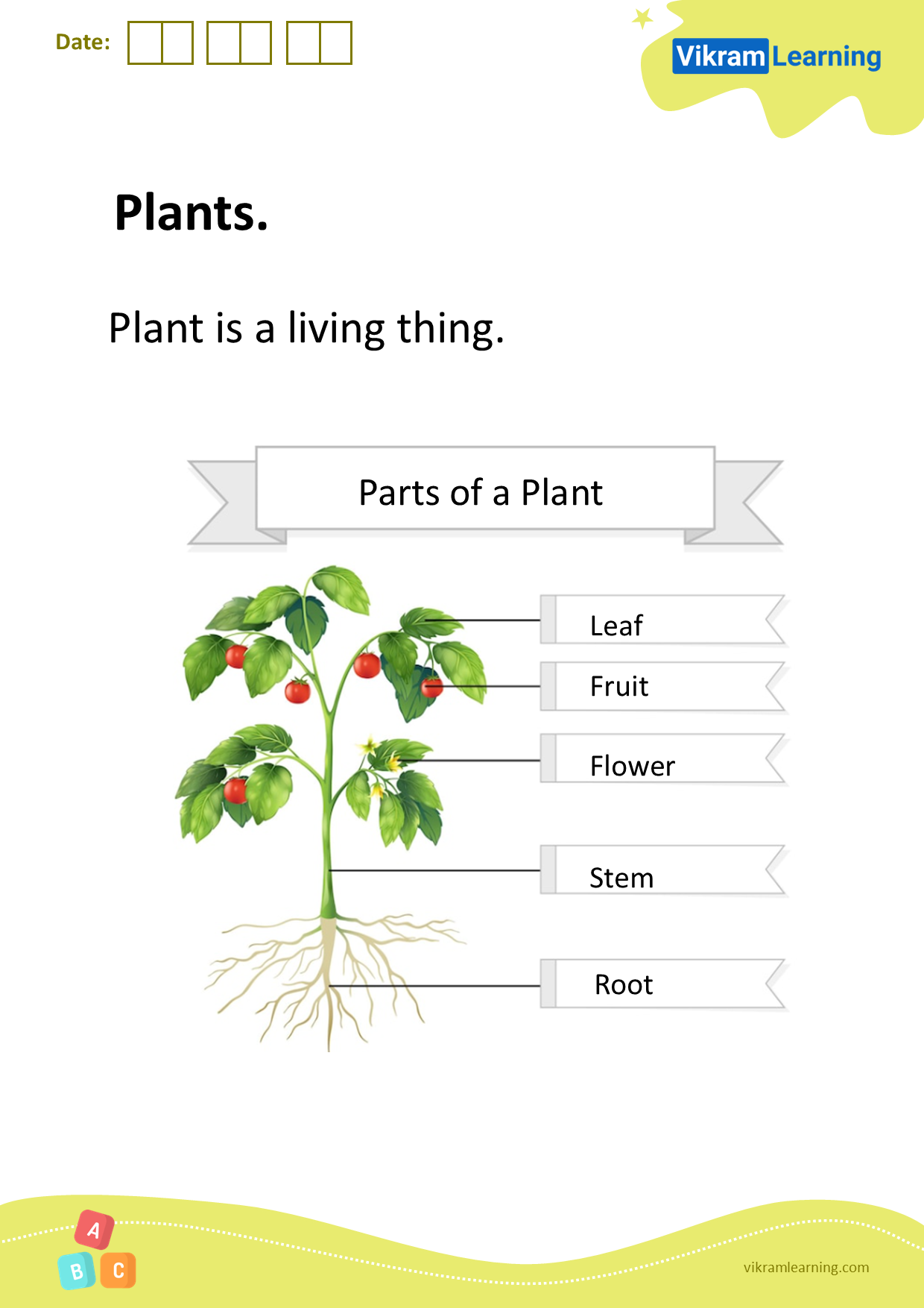 Download plants worksheets
