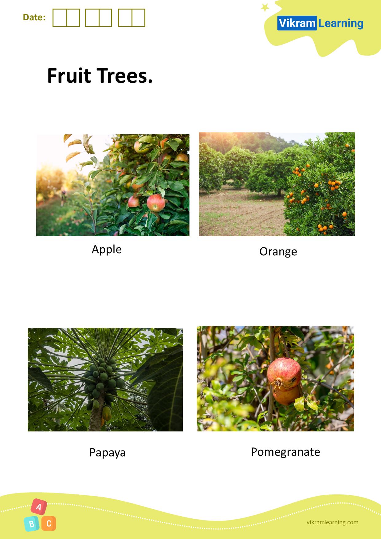 Download fruit trees worksheets