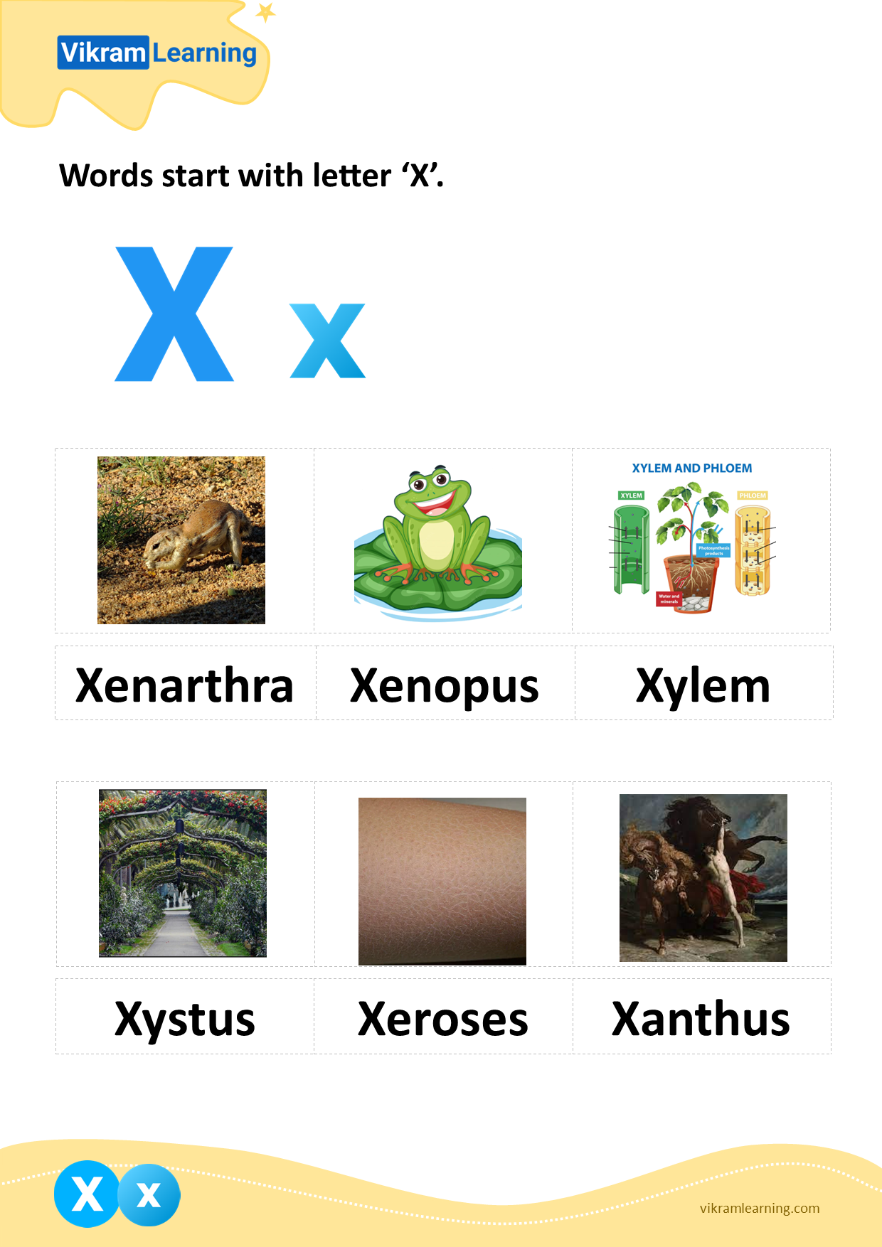 Download words start with letter 'x' worksheets