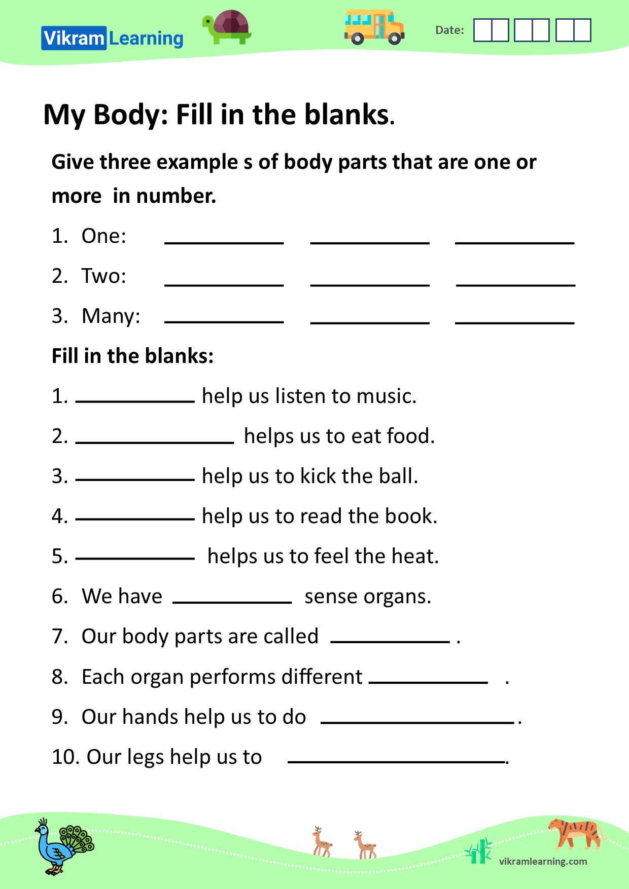 Download my body worksheets