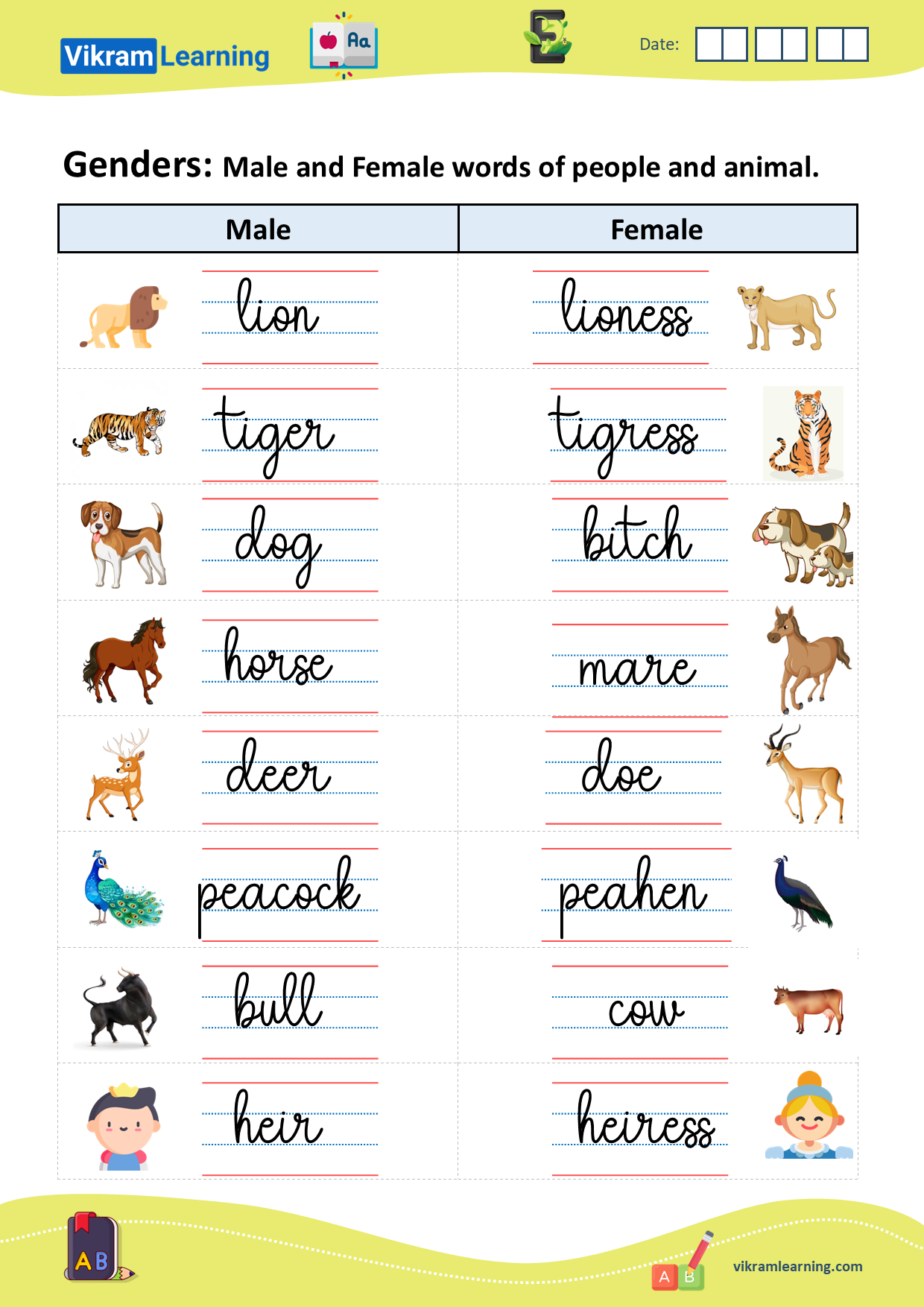 Download genders- male, female, common, neuter worksheets ...