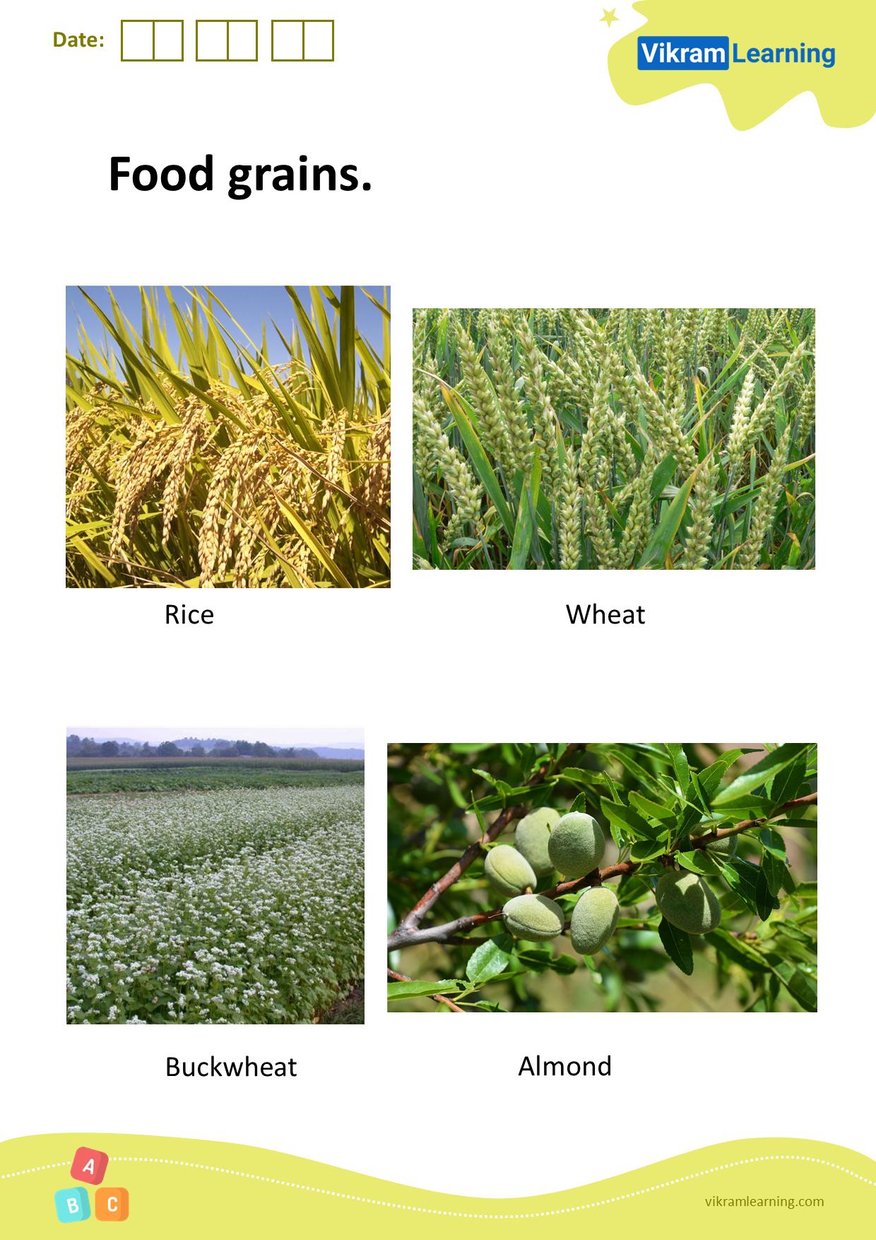 Download food grains worksheets