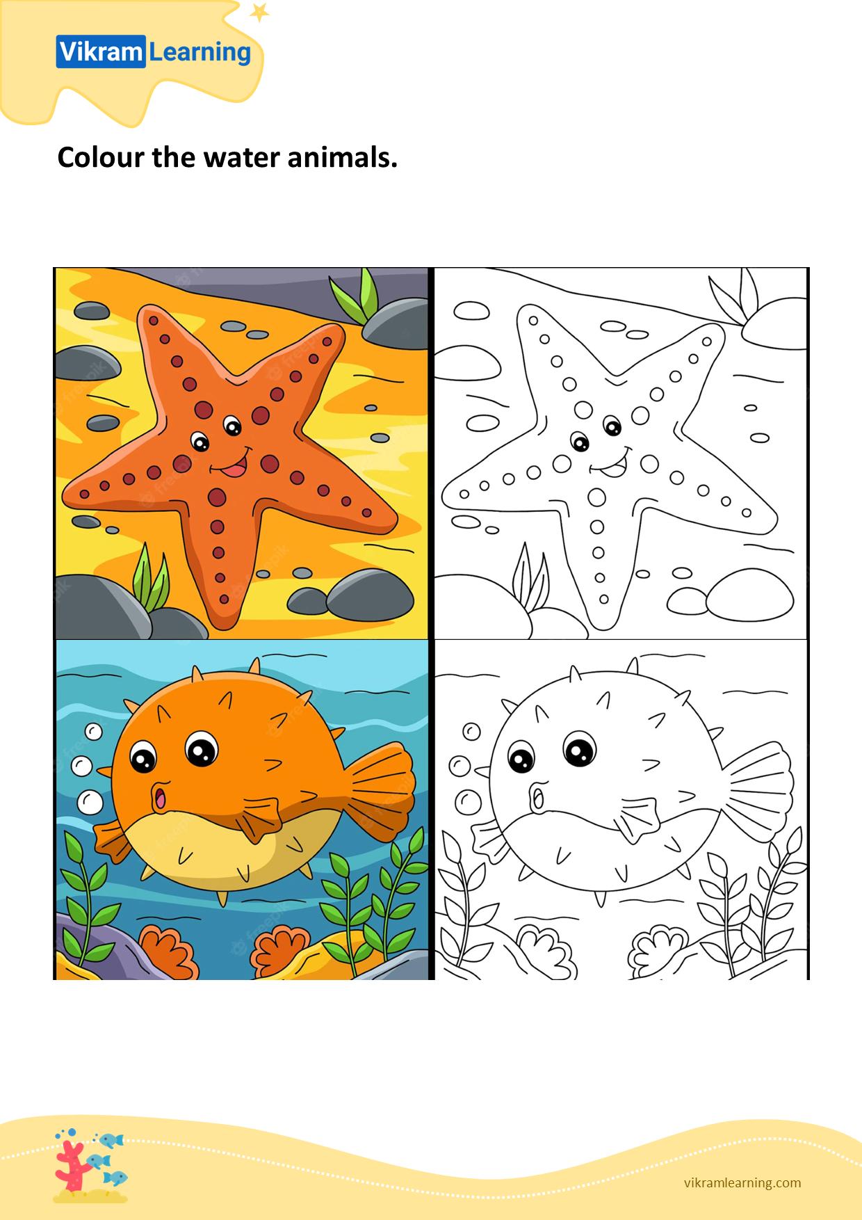 Download colour the water animals - 2 worksheets 