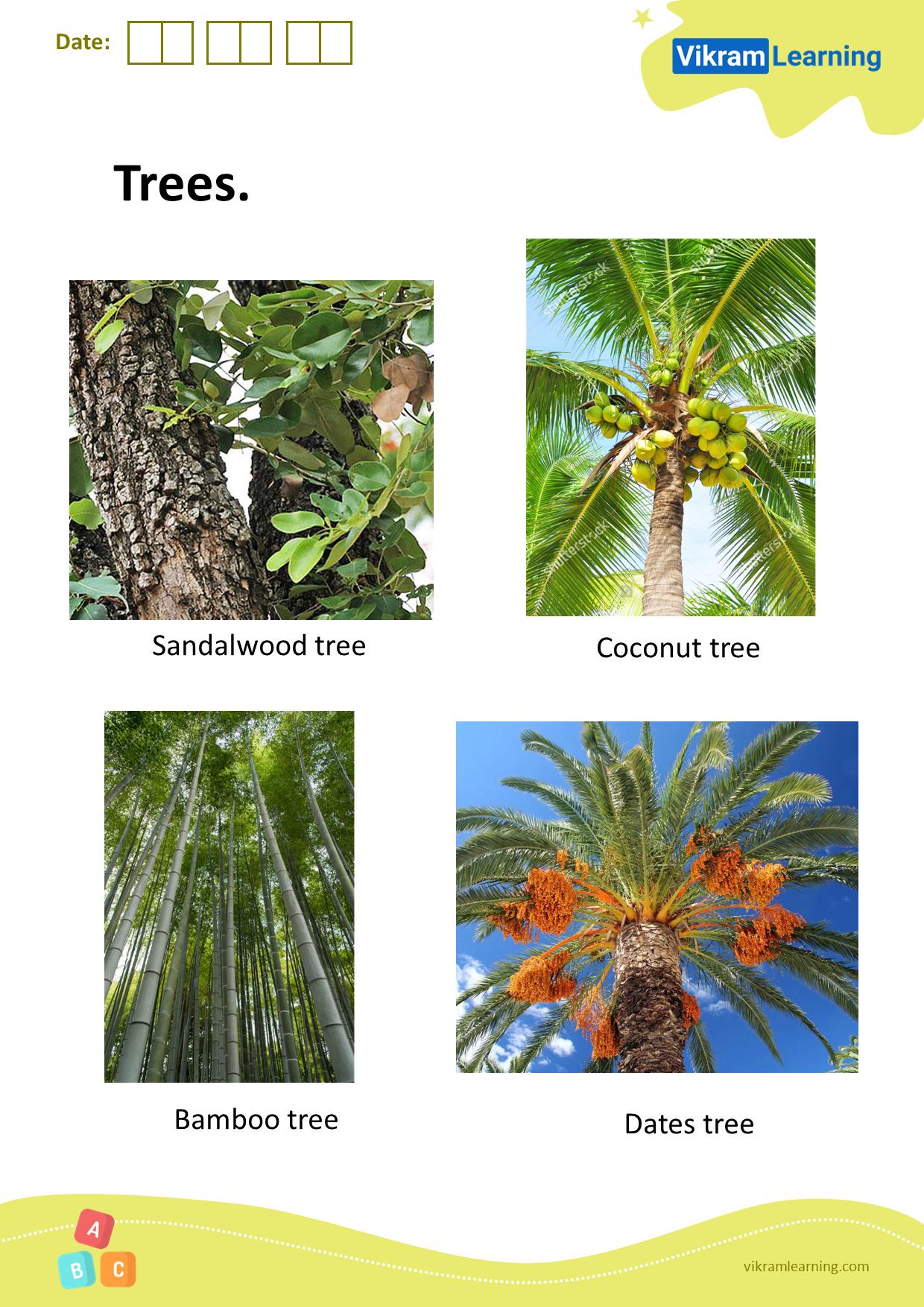 Download plants and trees worksheets for free | vikramlearning.com