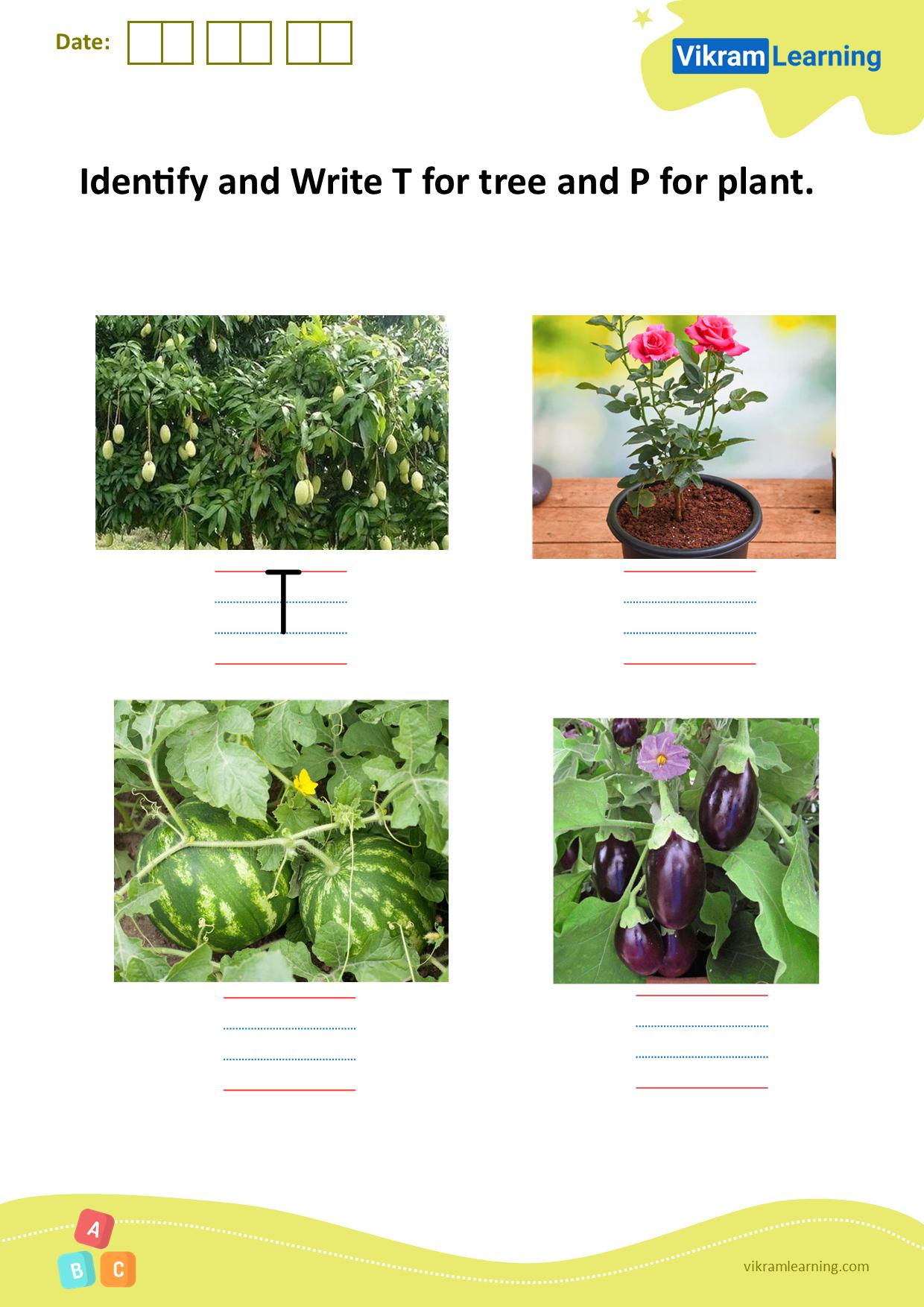 Download identify and write t for tree and p for plant worksheets