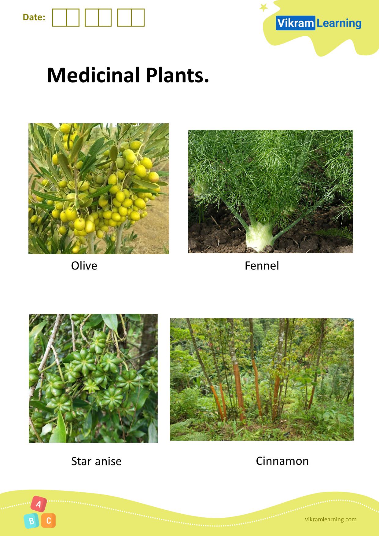 Download medicinal plants worksheets
