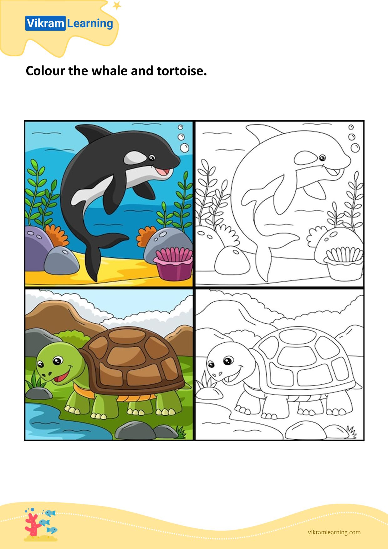 Download colour the whale and tortoise worksheets