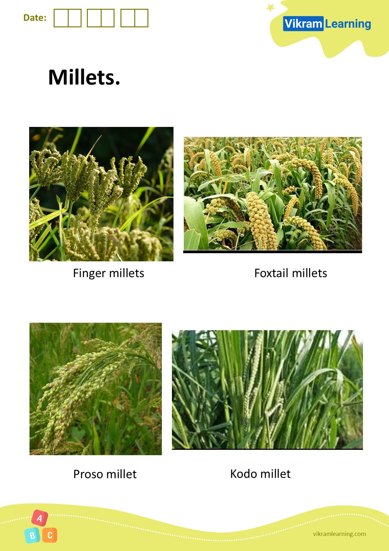 Download millets worksheets