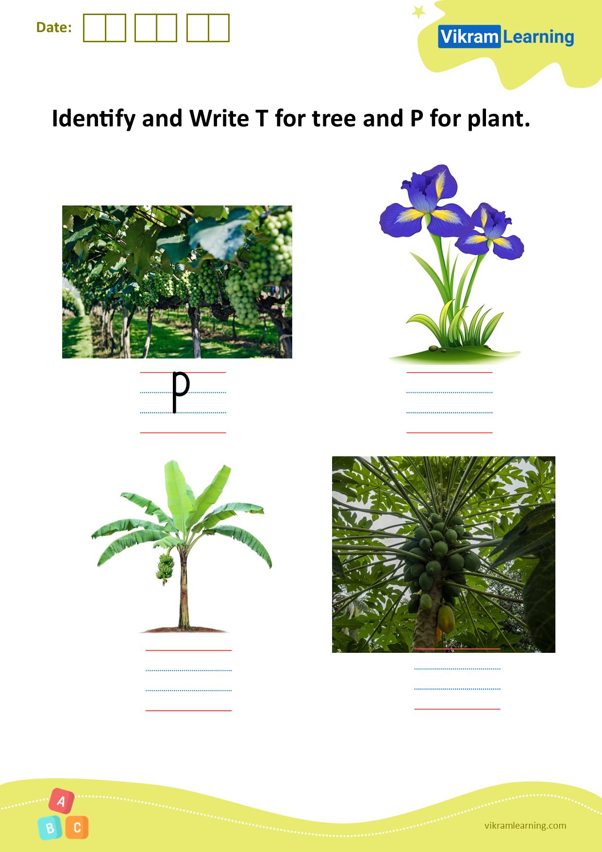 Download identify and write t for tree and p for plant worksheets