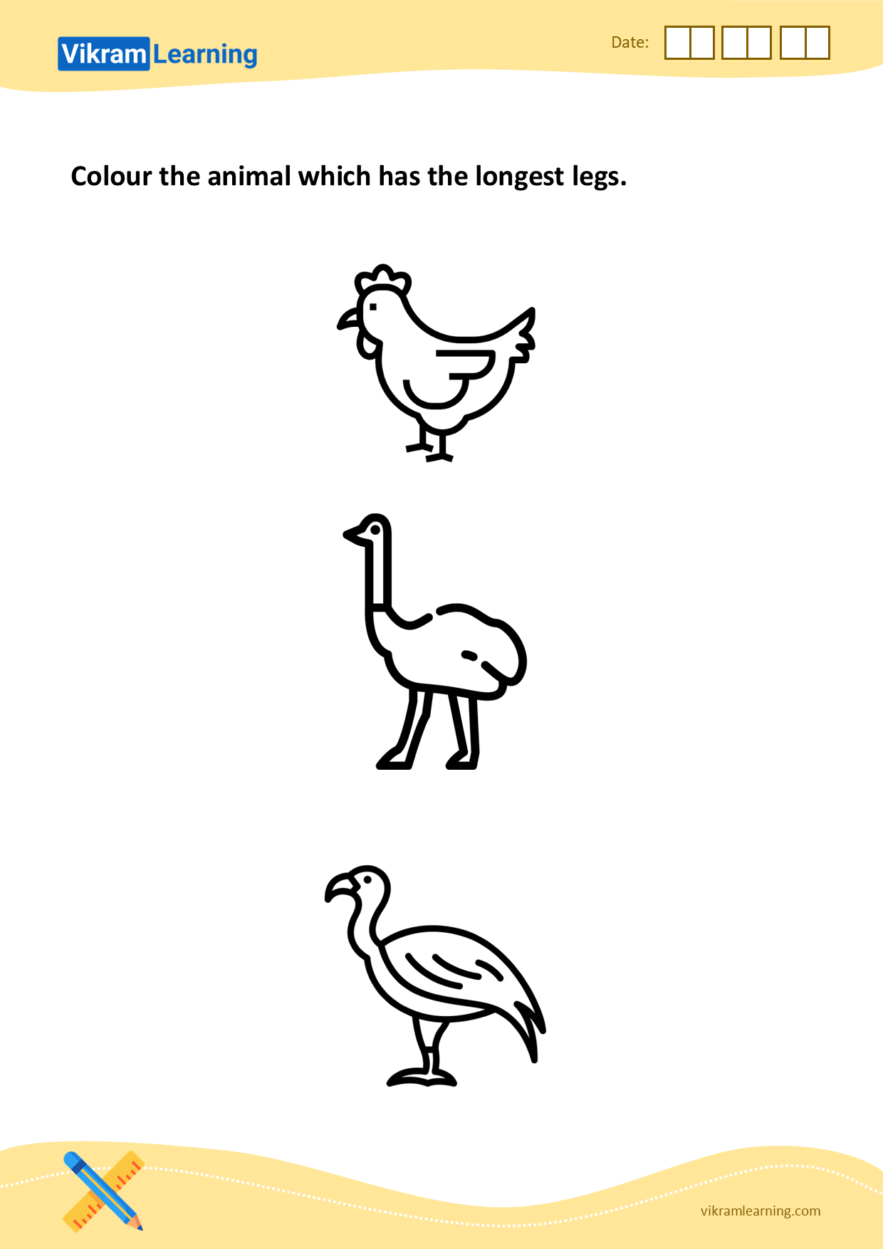 Download colour the animal which has the longest legs worksheets