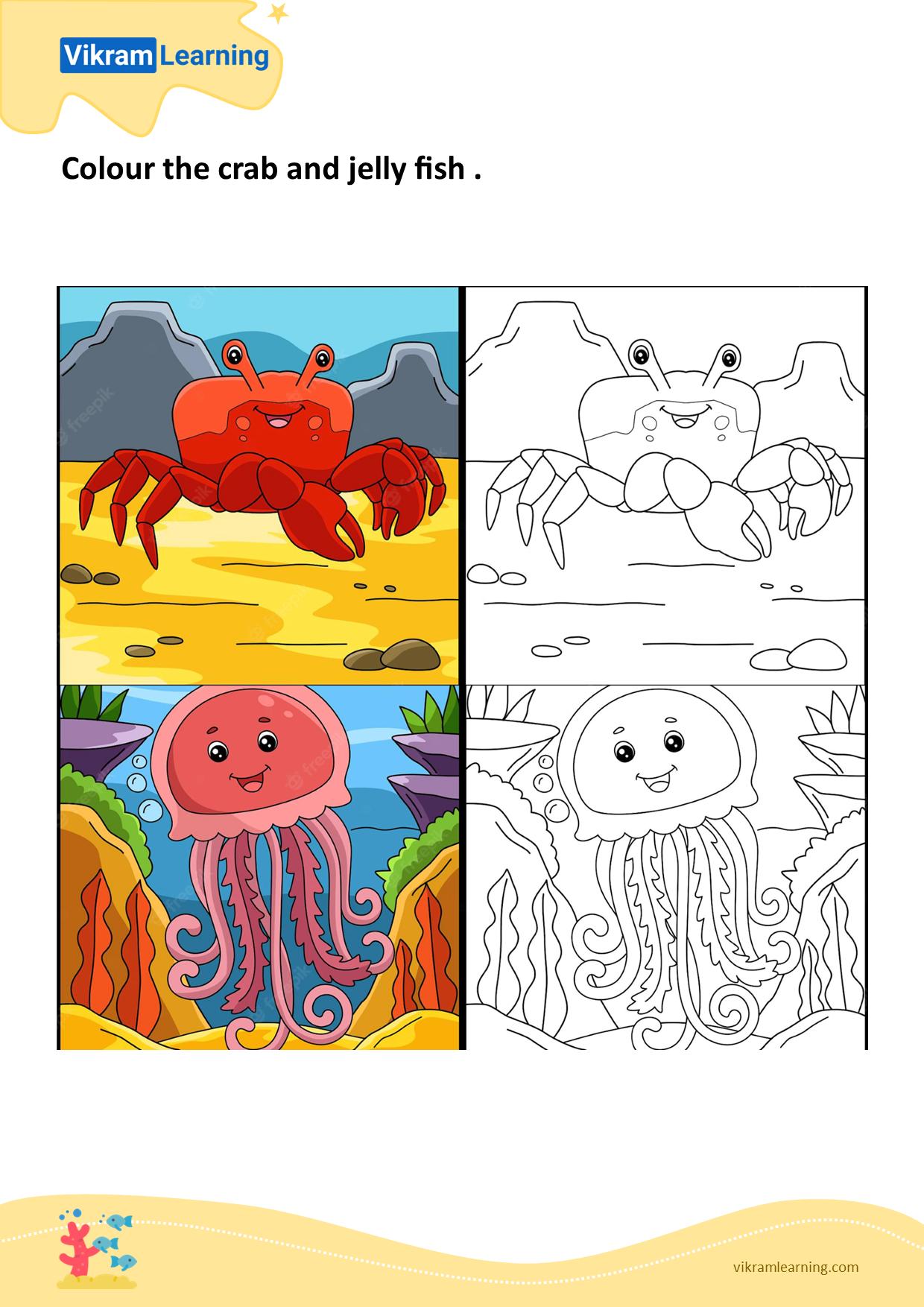 Download colour the crab and jelly fish worksheets