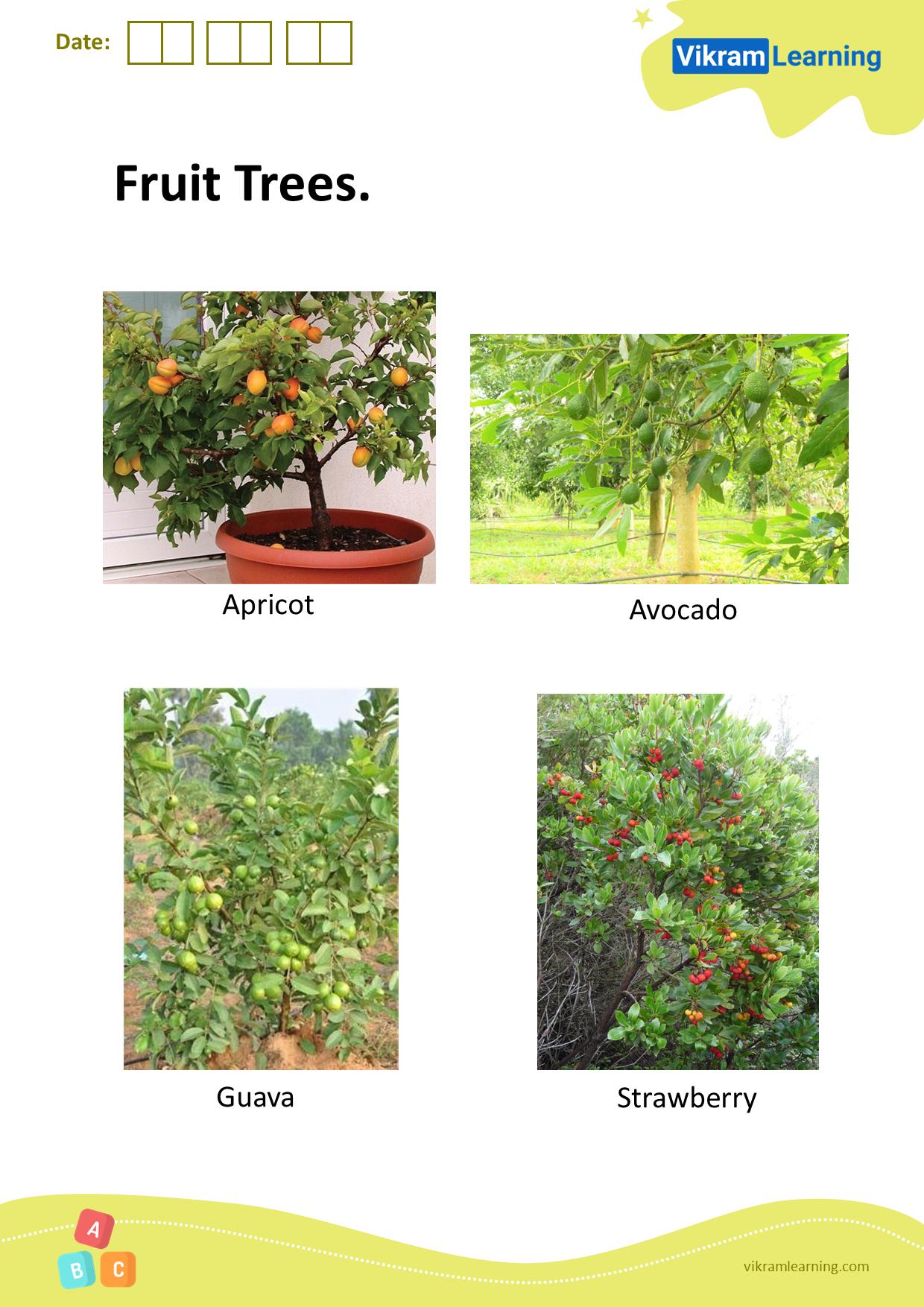 Download fruit trees worksheets