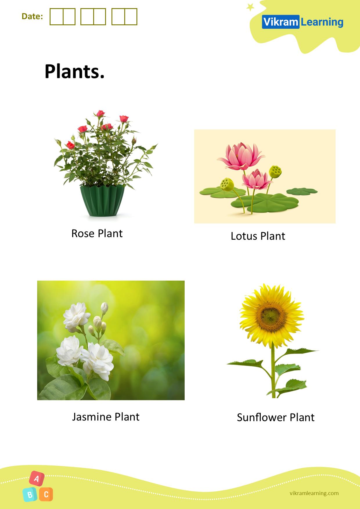 Download plants worksheets