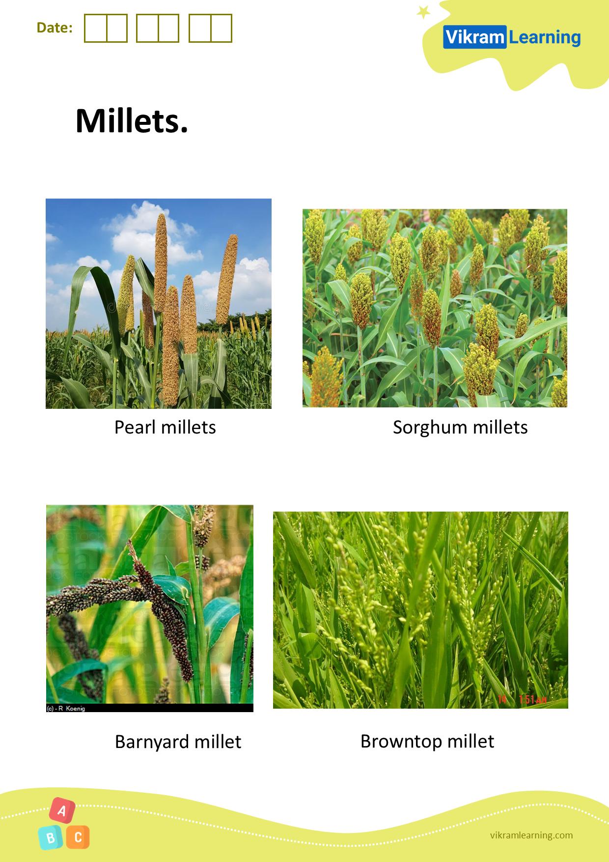Download millets worksheets
