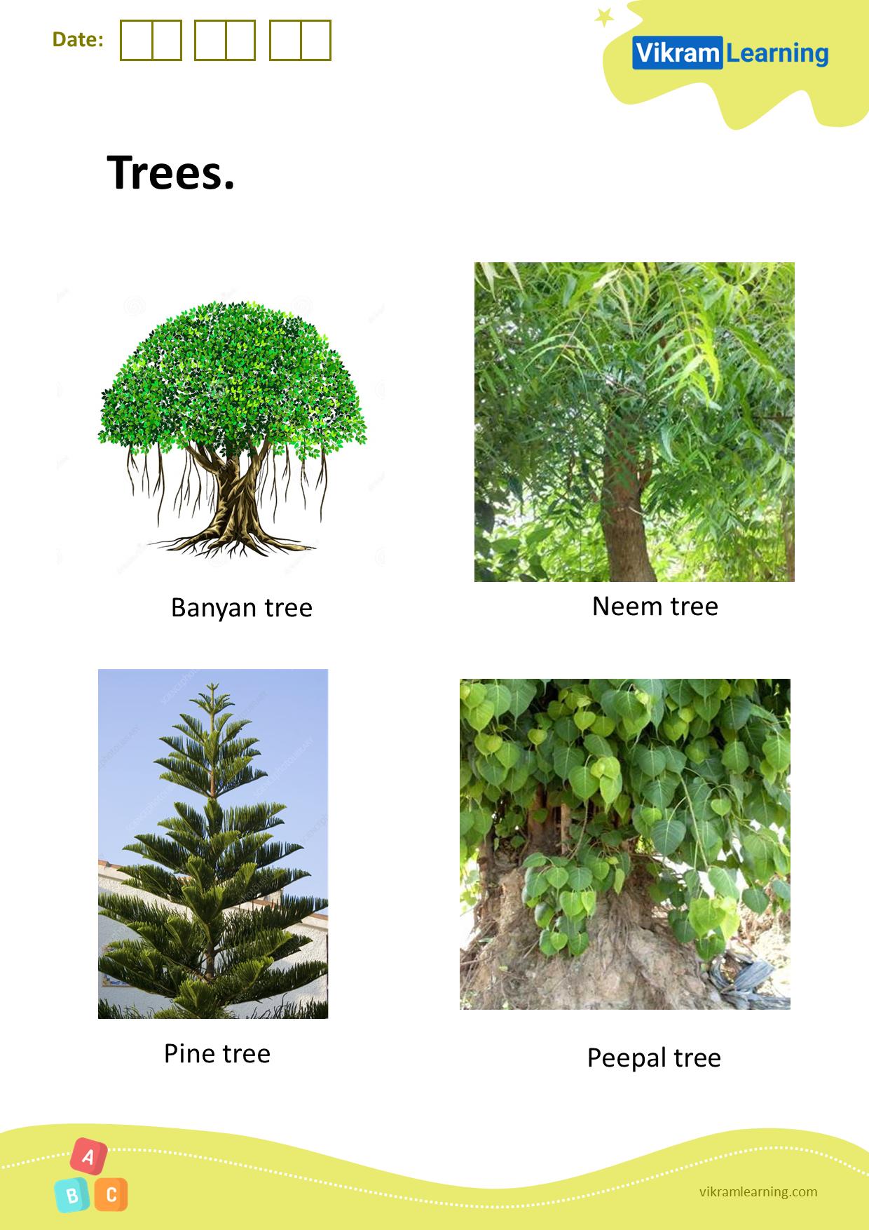 Download trees worksheets